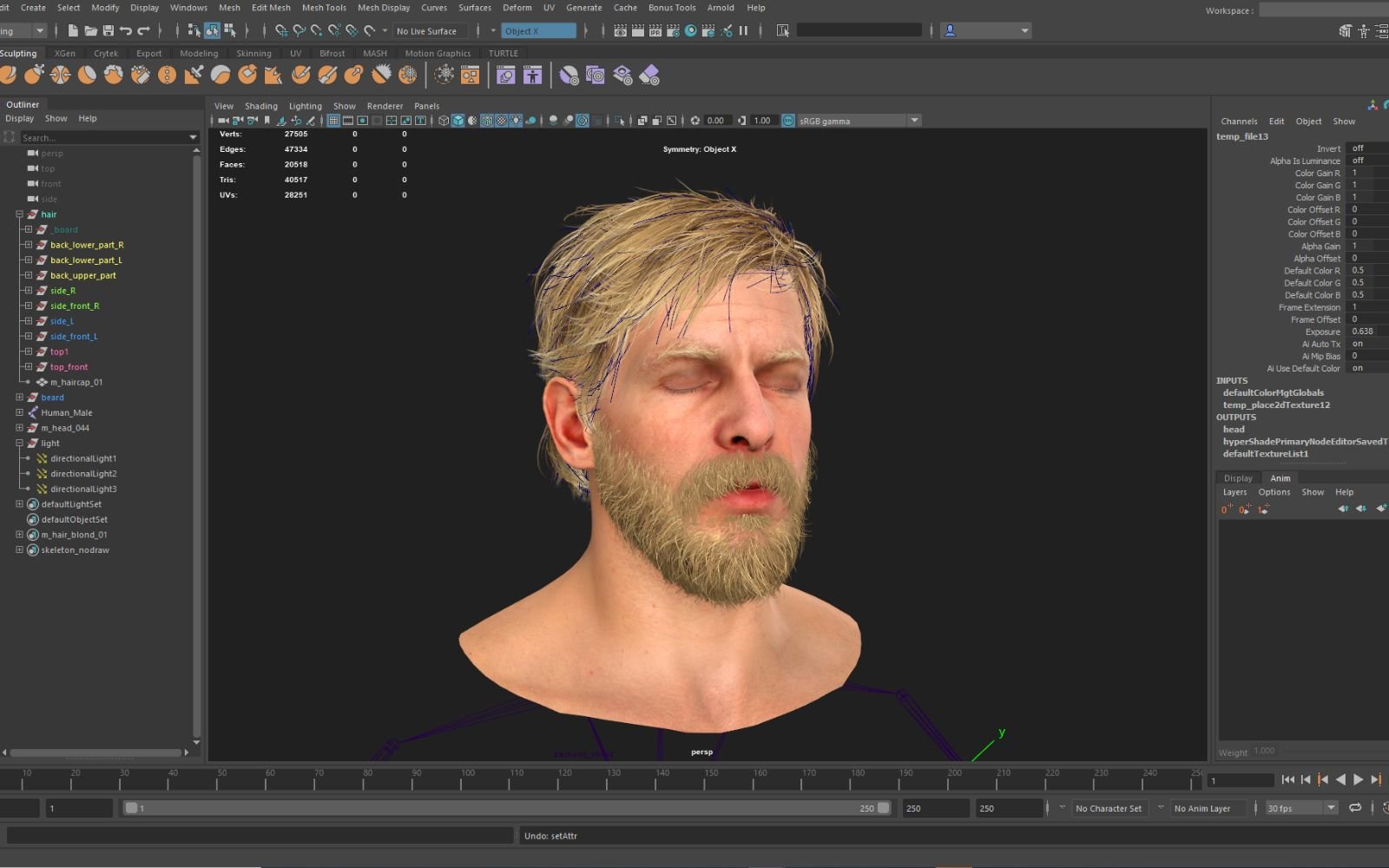 エンターテインメント分野